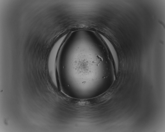 X0000102040415200807181517