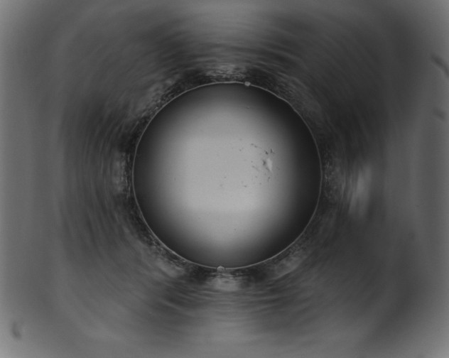 X0000102040416200807181517