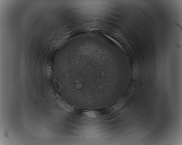 X0000102040417200807181517