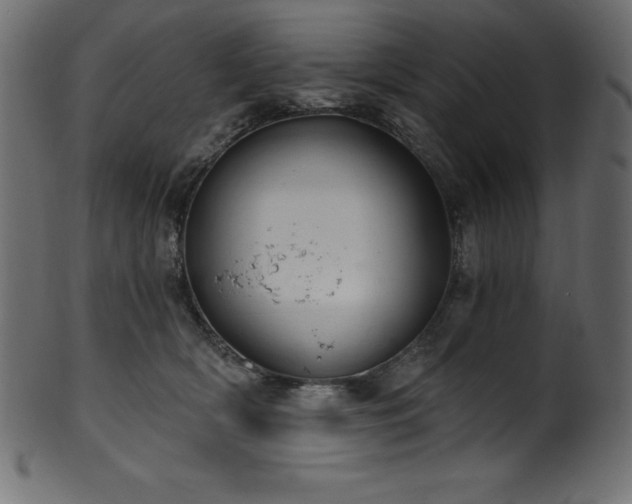 X0000102040418200807181517