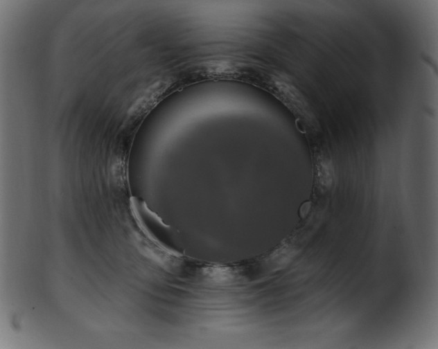 X0000102040419200807181517