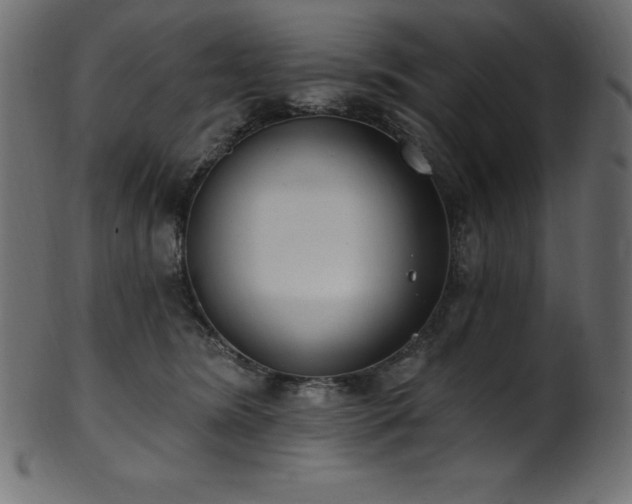 X0000102040420200807181517