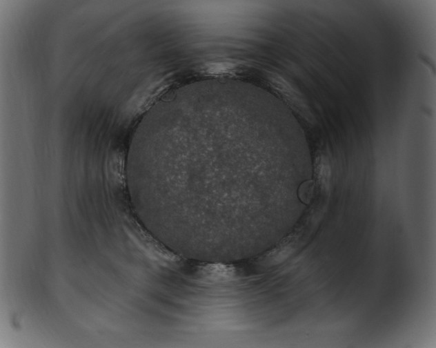 X0000102040421200807181517