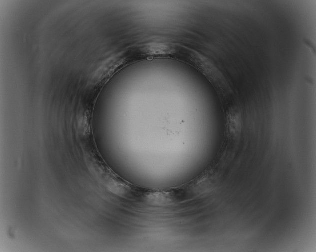 X0000102040422200807181517