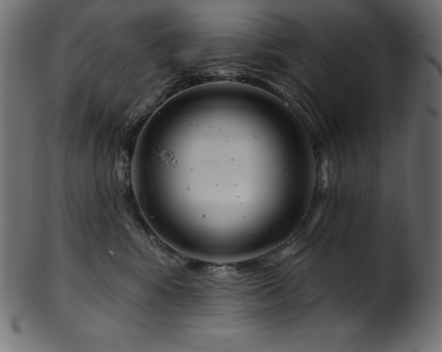 X0000102040424200807181517