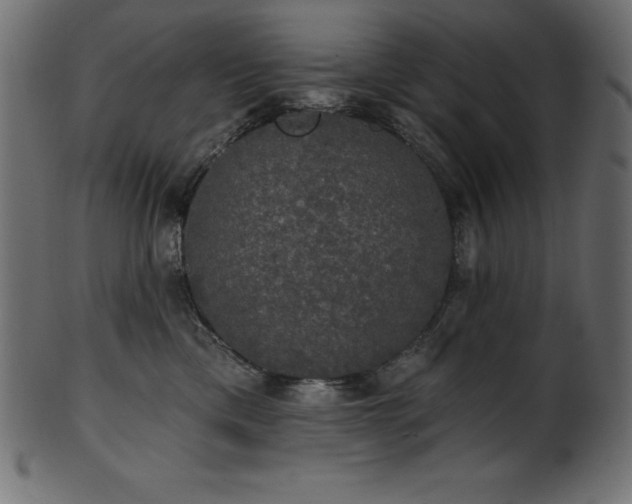 X0000102040425200807181517