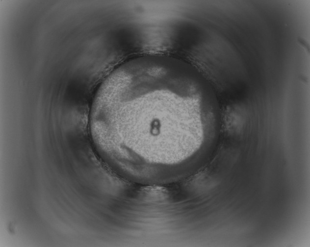 X0000102040427200807181516