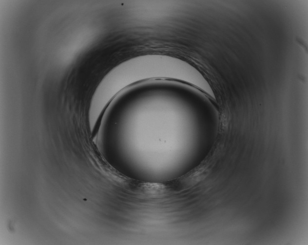 X0000102040429200807181516