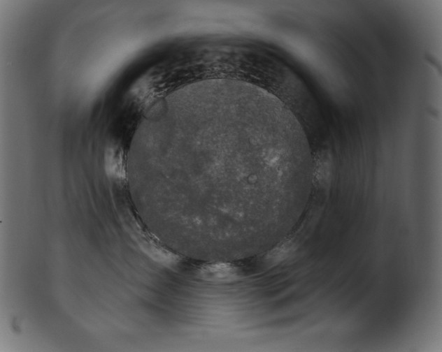 X0000102040431200807181516