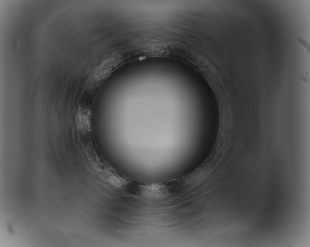 X0000102040432200807181516