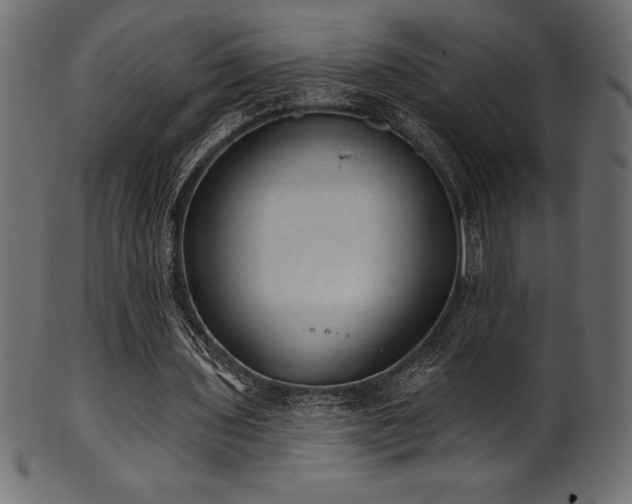 X0000102040435200807181516