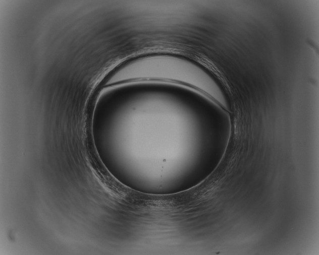 X0000102040436200807181516