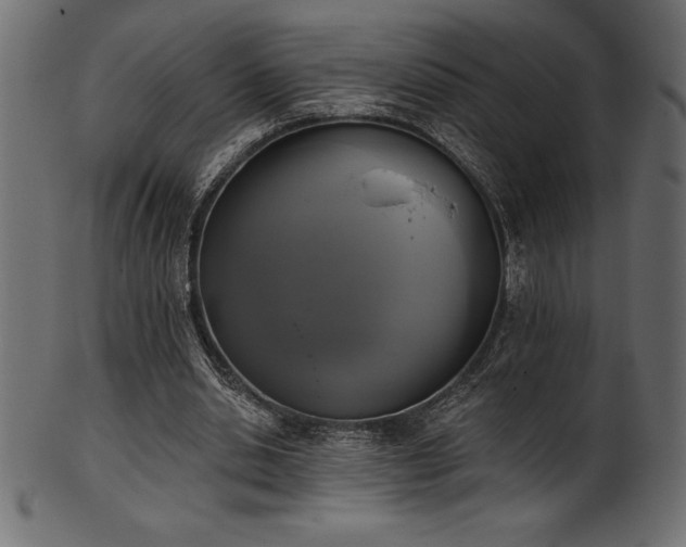 X0000102040438200807181516