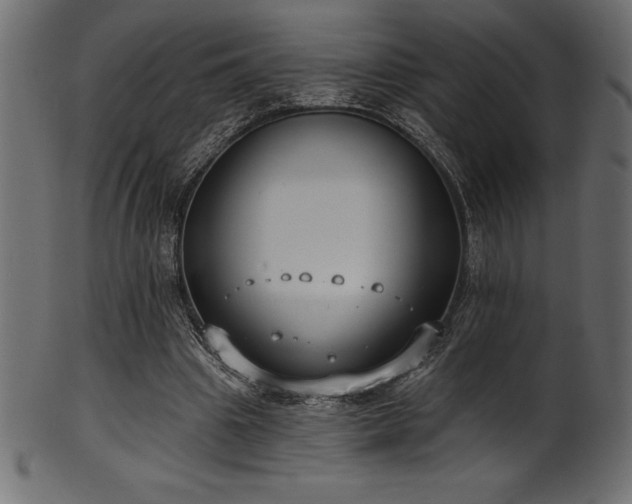 X0000102040441200807181516