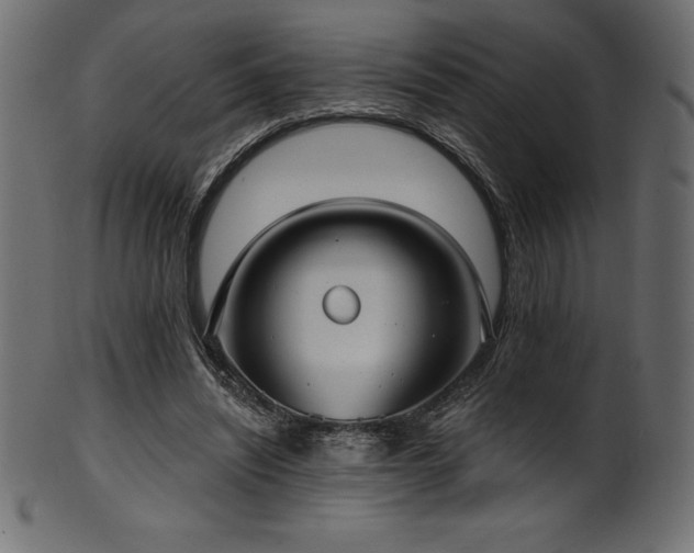 X0000102040444200807181516