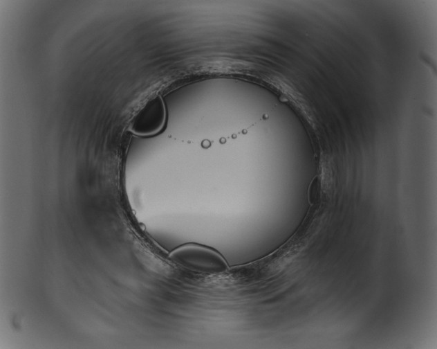 X0000102040445200807181516