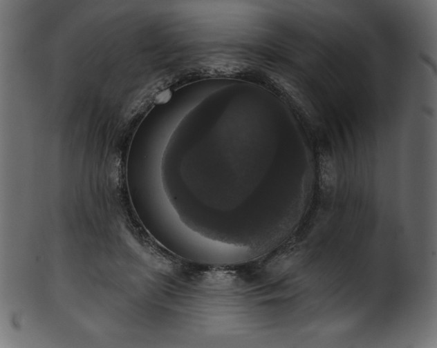 X0000102040451200807181516