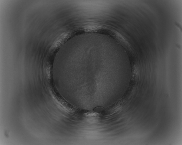 X0000102040452200807181516