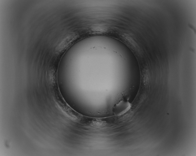 X0000102040455200807181516