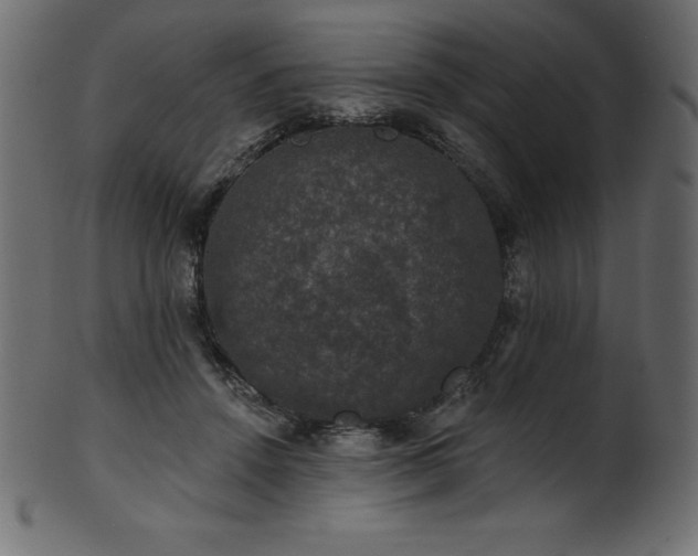 X0000102040456200807181516