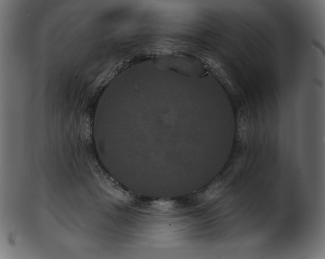 X0000102040457200807181516