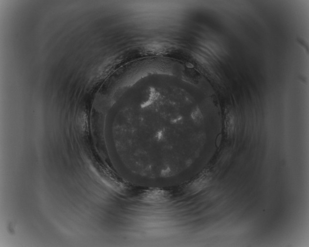 X0000102040459200807181516