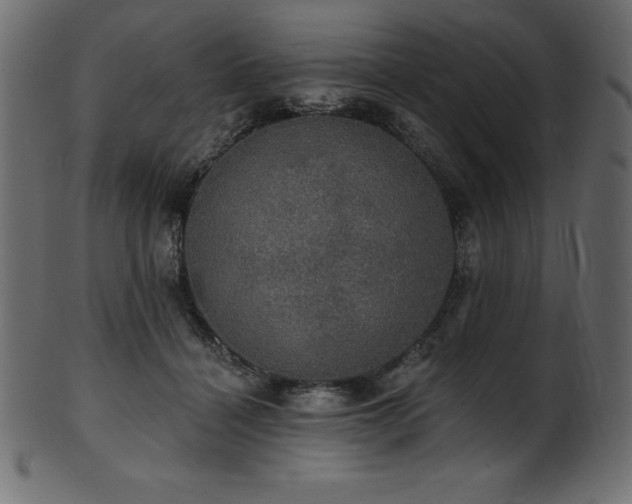 X0000102040460200807181516