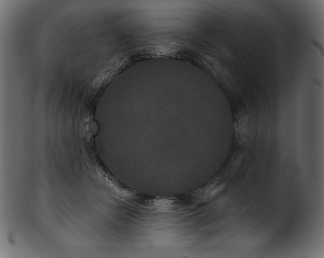 X0000102040462200807181516