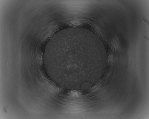 X0000102040464200807181516