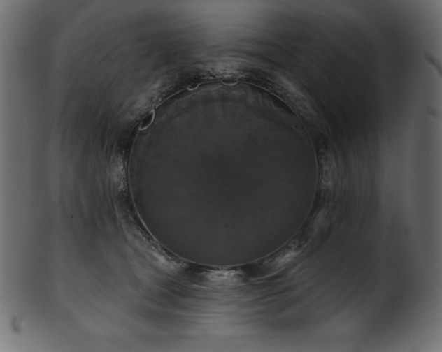 X0000102040465200807181516