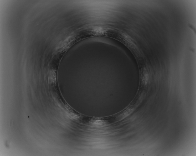 X0000102040467200807181516