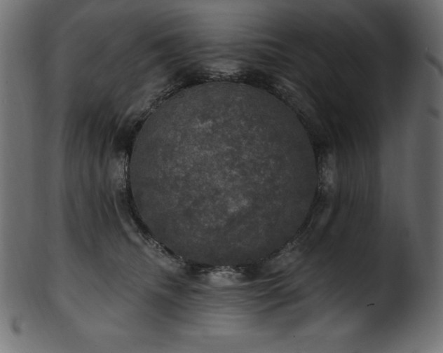 X0000102040468200807181516