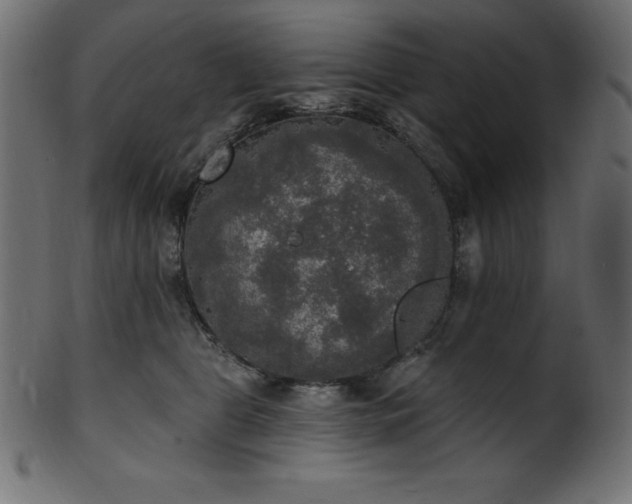 X0000102040469200807181516