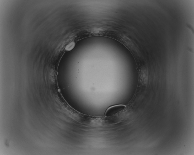 X0000102040470200807181516