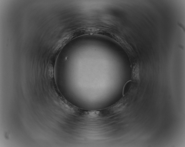 X0000102040474200807181516