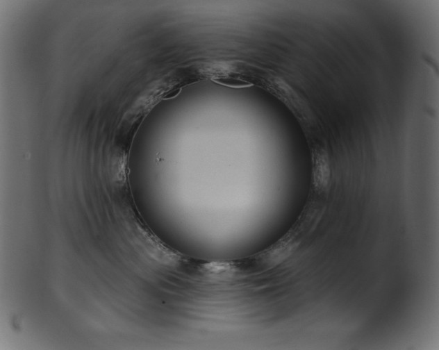 X0000102040477200807181516