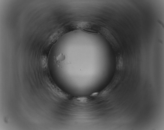 X0000102040478200807181516