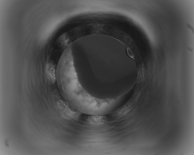 X0000102040479200807181516