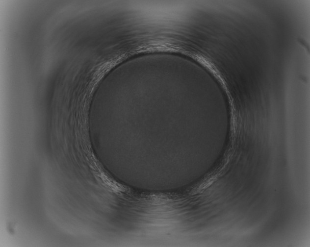 X0000102040481200807181516