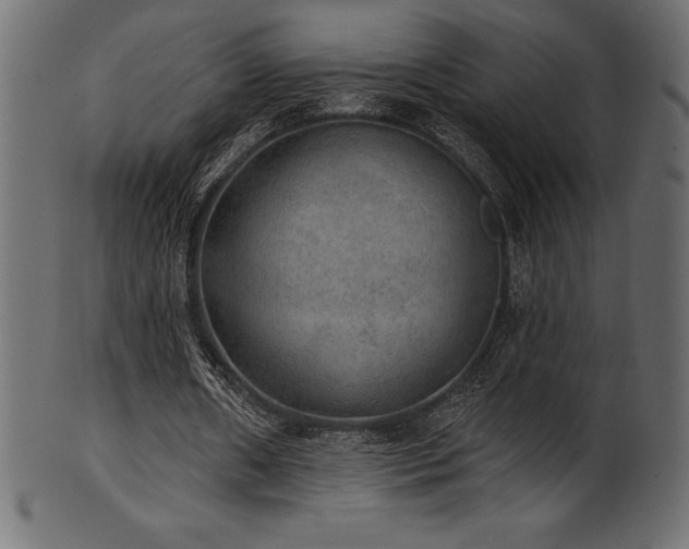 X0000102040482200807181516