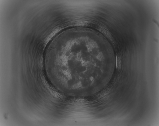 X0000102040483200807181516