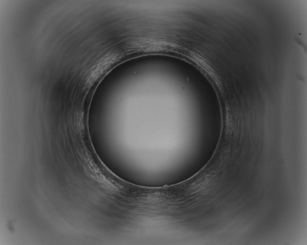 X0000102040485200807181515