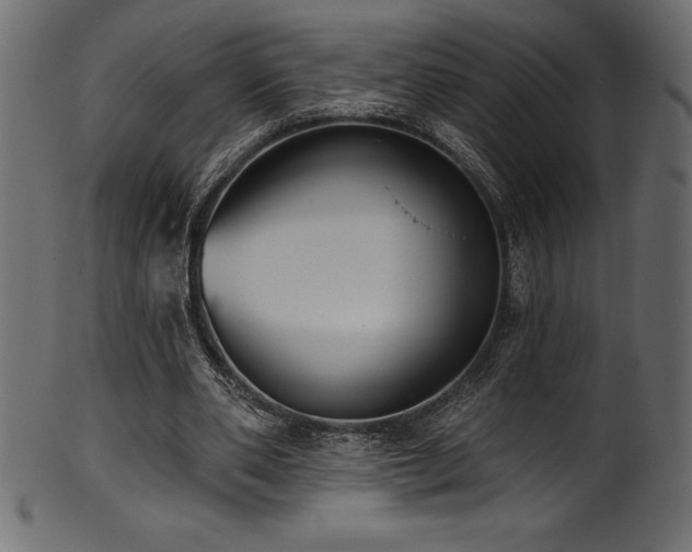 X0000102040486200807181515