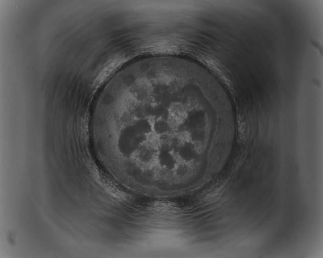 X0000102040487200807181515