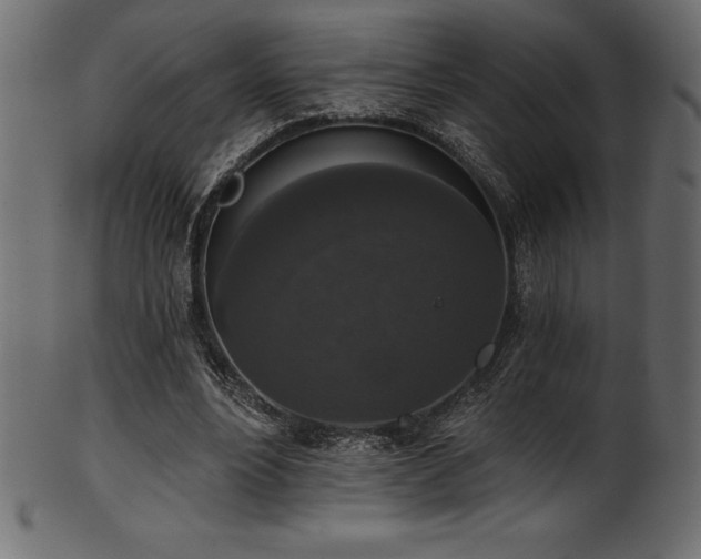 X0000102040488200807181515