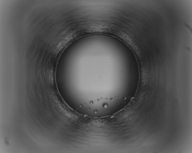 X0000102040489200807181515