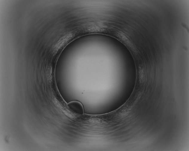 X0000102040490200807181515