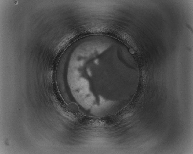 X0000102040491200807181515