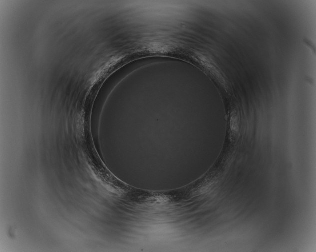 X0000102040492200807181515