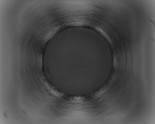 X0000102040493200807181515